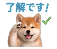 852386924