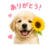 852386925