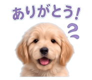 852386932