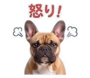 852386944