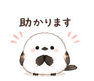 852388507
