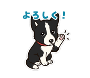 852388884