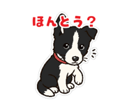 852388892