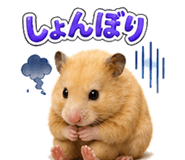 852390879