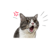 852392891