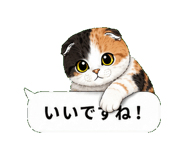 852394992