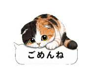 852394998