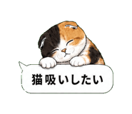 852395002