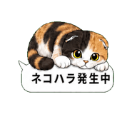 852395003