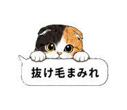 852395010