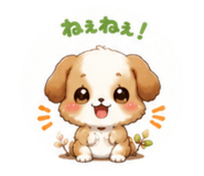 852395427