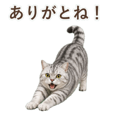 852395537
