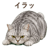 852395538