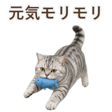 852395540