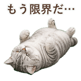 852395541