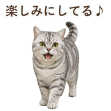 852395543