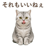 852395545