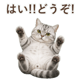 852395549