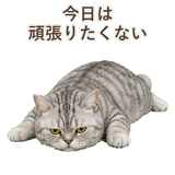 852395550