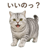 852395551