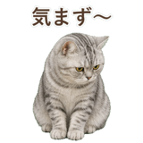 852395552