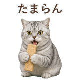 852395556