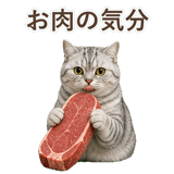 852395557