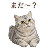 852395564