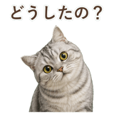 852395566