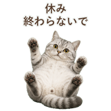 852395569