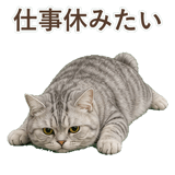 852395570