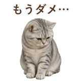 852395572
