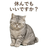 852395573