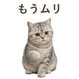 852395574