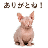 852395865