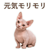 852395868