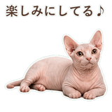 852395871
