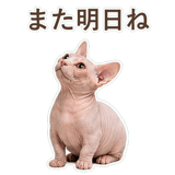 852395876