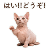 852395877