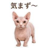 852395880