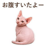 852395888