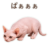 852395890