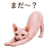 852395892