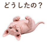 852395894