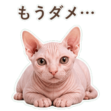 852395900