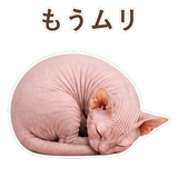 852395902