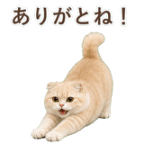 852395905