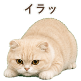 852395906