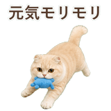 852395908