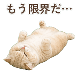 852395909